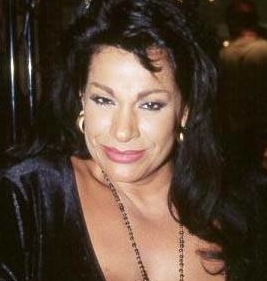 Porn Star Vanessa Del Rio